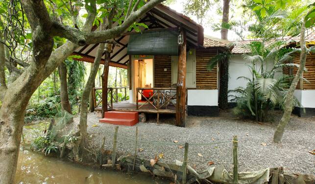 Tharavad Heritage, Palakkad 4